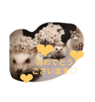 猫のわさび（個別スタンプ：20）