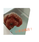 るーたん（個別スタンプ：3）