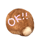 きなこの1日（part 1）（個別スタンプ：6）