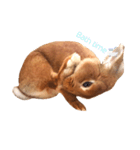 きなこの1日（part 1）（個別スタンプ：7）