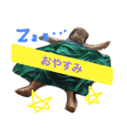 ひにゃにょスタンプ（個別スタンプ：6）