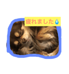 仕事で使えるワンコ（個別スタンプ：2）