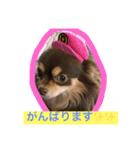 仕事で使えるワンコ（個別スタンプ：3）