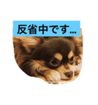 仕事で使えるワンコ（個別スタンプ：4）