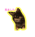 仕事で使えるワンコ（個別スタンプ：8）