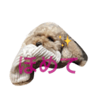 テトチパゆべ2（個別スタンプ：4）