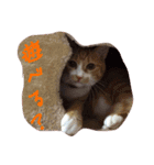 ひなさん（個別スタンプ：2）