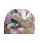 ひなさん（個別スタンプ：7）