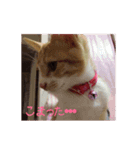 ひなさん（個別スタンプ：8）