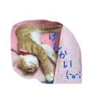 ひなさん（個別スタンプ：10）