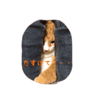 ひなさん（個別スタンプ：14）