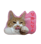 ひなさん（個別スタンプ：17）