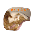 ひなさん（個別スタンプ：18）