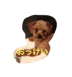 デクシー君（個別スタンプ：4）