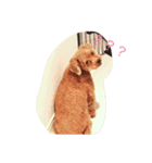 デクシー君（個別スタンプ：7）
