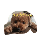 デクシー君（個別スタンプ：8）