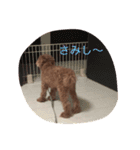 デクシー君（個別スタンプ：10）