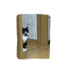 しずく。（個別スタンプ：3）