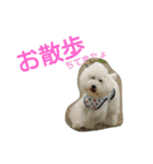 なぽりたんの日常2（個別スタンプ：16）
