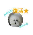 なぽりたんの日常2（個別スタンプ：23）