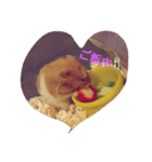 Chunky Monkey Baby（個別スタンプ：6）