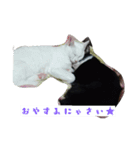 露と雪2（個別スタンプ：13）