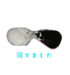 露と雪2（個別スタンプ：14）