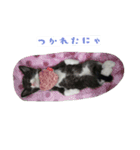 露と雪2（個別スタンプ：15）
