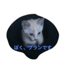 ブランの休日（個別スタンプ：1）
