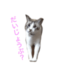 ブランの休日（個別スタンプ：11）
