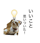 うちの猫たちと犬（個別スタンプ：15）