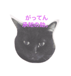 meow！meow！！meow！！！（個別スタンプ：14）
