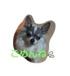 レオンライフ（個別スタンプ：1）