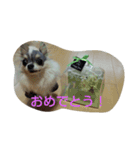レオンライフ（個別スタンプ：8）