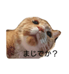 龍と1（個別スタンプ：4）