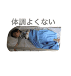 シャケノベイベー（個別スタンプ：10）