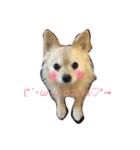 ハニたん（個別スタンプ：3）