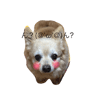 ハニたん（個別スタンプ：4）
