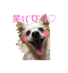 ハニたん（個別スタンプ：13）