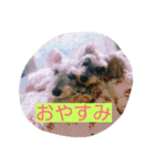 Our home"yota-biku"（個別スタンプ：3）