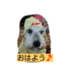 Our home"yota-biku"（個別スタンプ：4）