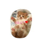 やっぱねこはいいね～（個別スタンプ：5）