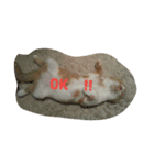 やっぱねこはいいね～（個別スタンプ：8）
