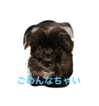 ワンコワンコ（個別スタンプ：3）