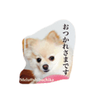 メルスタンプ（個別スタンプ：1）