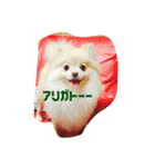メルスタンプ（個別スタンプ：4）