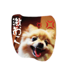 メルスタンプ（個別スタンプ：5）