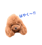 みぃのきもち2（個別スタンプ：7）