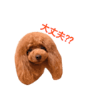 みぃのきもち2（個別スタンプ：13）