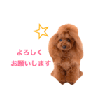 みぃのきもち2（個別スタンプ：14）